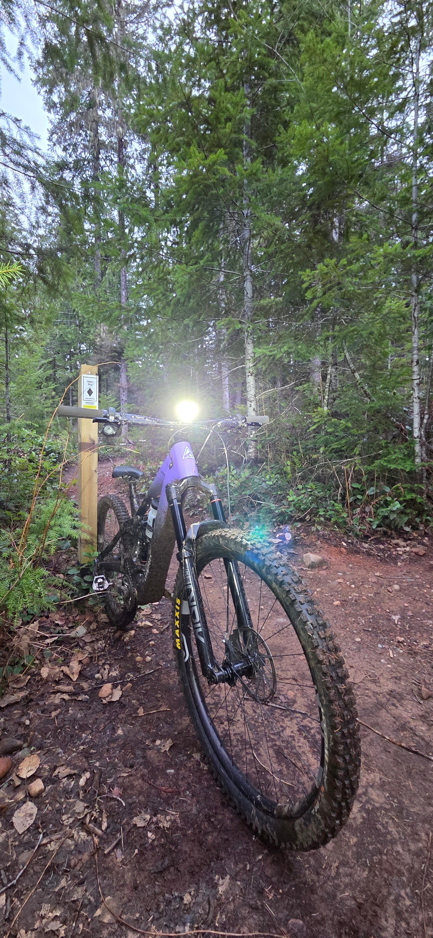 MB6 High Performance Bike Light - Avinox E-Bike Kit