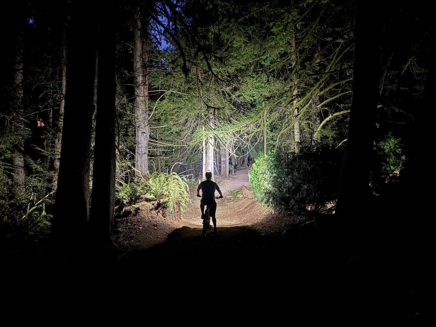 MB6 High Performance Light