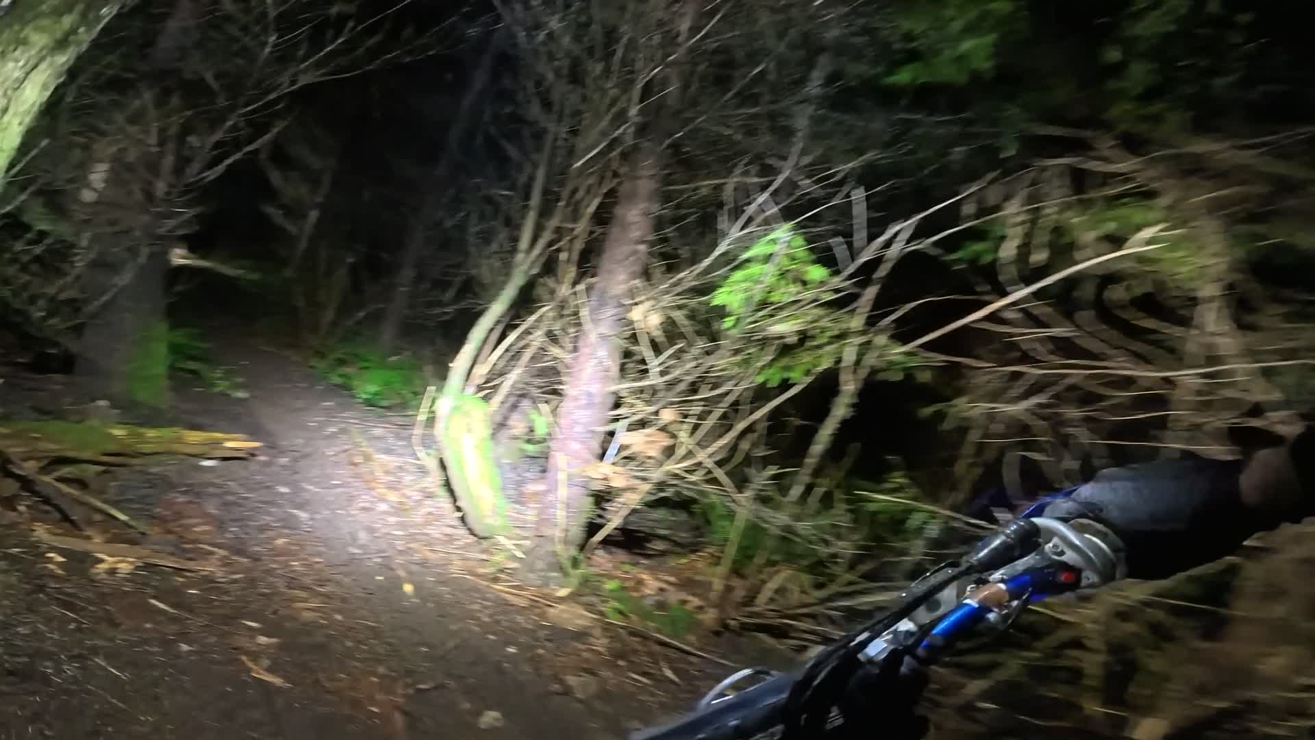 Night trail viewed from the rider's perspective