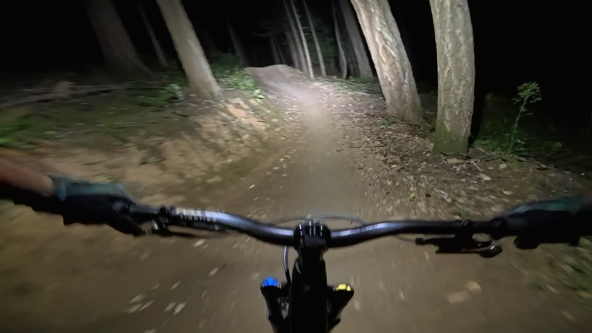 Night trail viewed from the rider's perspective